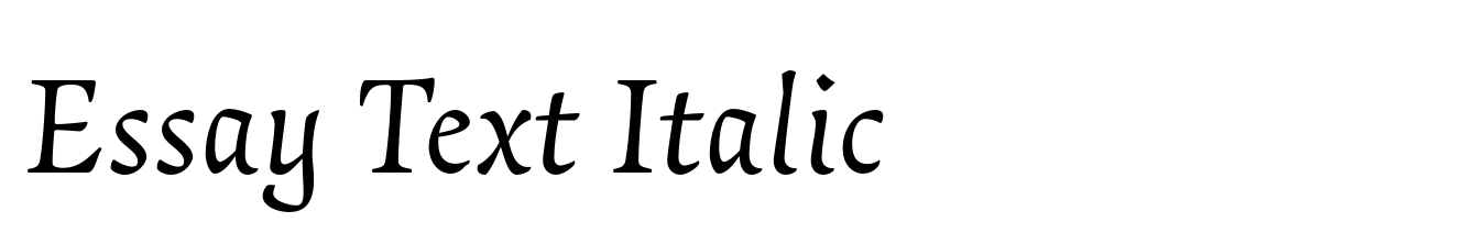 Essay Text Italic